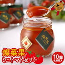 【ふるさと納税】燦菜果(さんさいか)ミニトマトゼリー 10個セット 北のハイグレード食品 とまと トマト ゼリー 野菜 北海道 F6S-411