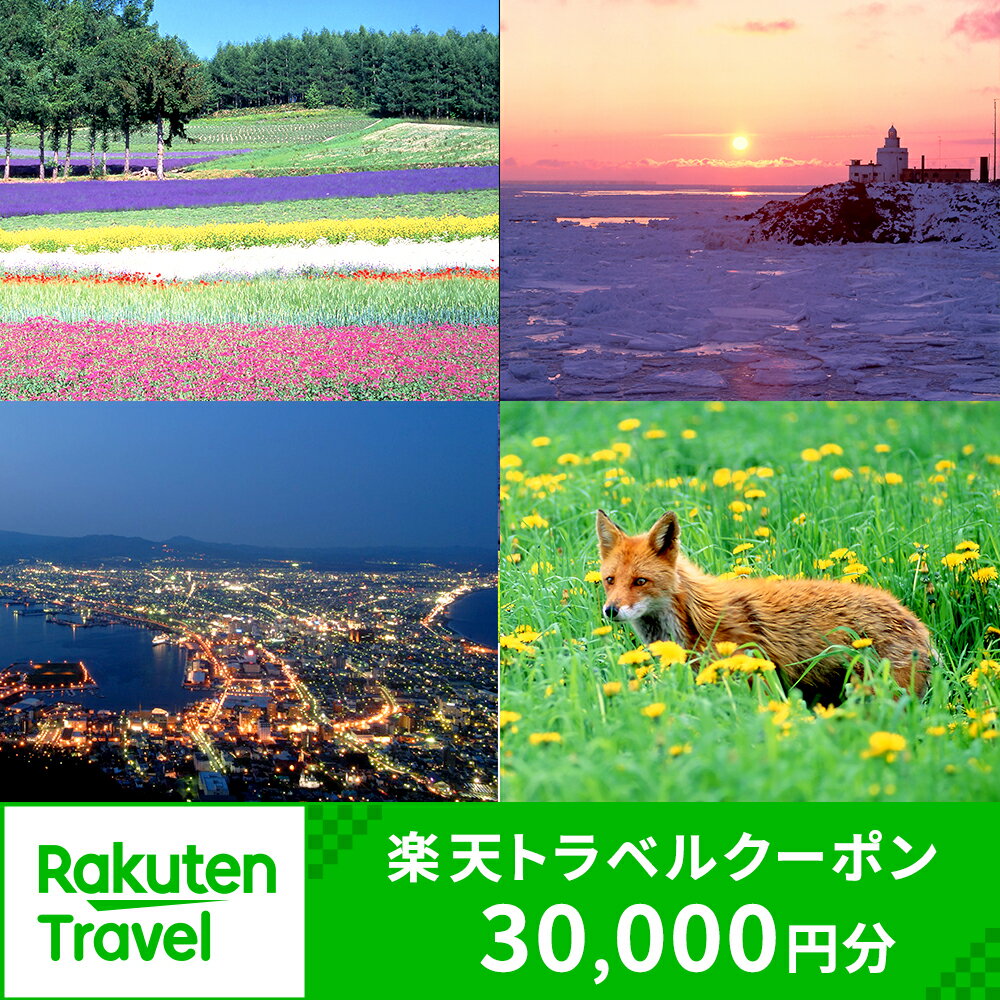 北海道の対象施設で使える楽天トラベルクーポン 寄付額100,000円