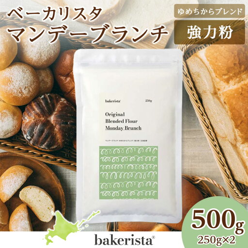 【ふるさと納税】 北海道産 パン用 強力粉 250g×2 計500g ゆめちからブレンド マンデーブランチ 小麦粉 小麦 100% 山食パン 菓子パン 惣菜パン スタンダード粉 ホームベーカリー パン作り 北海道 札幌市 【ふるさと納税】 北海道産 パン用 強力粉 250g×2 計500g ゆめちからブレンド マンデーブランチ 小麦粉 小麦 100% 山食パン 菓子パン 惣菜パン スタンダード粉 ホームベーカリー パン作り 北海道 札幌市