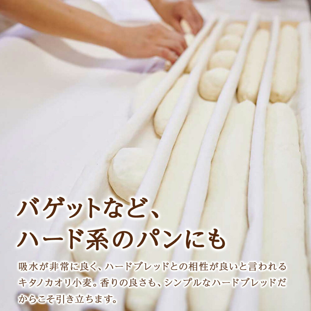 【送料無料】山城屋 京の乾物屋 京きな粉 110g×5袋