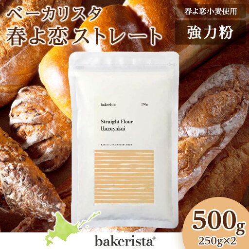 【ふるさと納税】 強力粉 北海道産 小麦 100% 500g 250g×2 パン用 小麦粉 パン 春よ恋小麦 国産 強力小麦粉 製パン材料 春よ恋ストレート ホームベーカリー パン作り 菓子パン 北海道 札幌市 【ふるさと納税】 強力粉 北海道産 小麦 100% 500g 250g×2 パン用 小麦粉 パン 春よ恋小麦 国産 強力小麦粉 製パン材料 春よ恋ストレート ホームベーカリー パン作り 菓子パン 北海道 札幌市