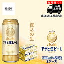 17位! 口コミ数「0件」評価「0」【定期便3ヶ月】アサヒ生ビール≪マルエフ≫＜500ml缶＞24缶入り2ケース 北海道工場製造