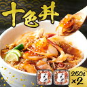 【ふるさと納税】 海鮮丼 十色丼 250g 2個 計500g 3~4杯分 ホタテ ズワイガニ いくら いか 数の子 昆布 とびっこ つぶ貝 北寄貝 帆立 ほたて カニ 蟹 かに イクラ イカ こんぶ 海鮮 魚介 おかず おつまみ 味付き 冷凍 北海道 札幌市