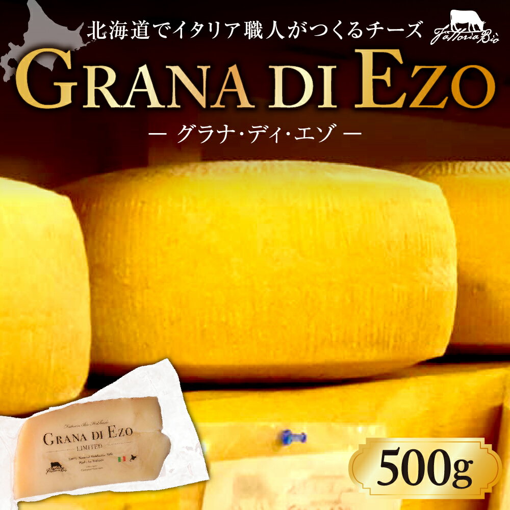 【ふるさと納税】 ファットリアビオ 北海道 GRANA DI EZO （グラナ・ディ・エゾ） 500g チーズ 熟成 ...