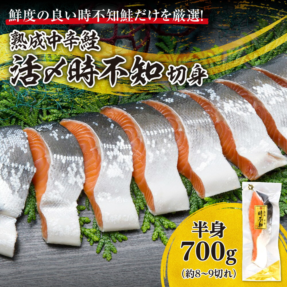 【ふるさと納税】 鮭 高級希少鮭 約8～9切れ 熟成中辛鮭 