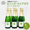 【ふるさと納税】 ★さっぽろ地ワイン★ スパークリングワイン 白ワイン 720ml 6本 セット すっきり 辛口 ドライ カノンズ・ナイアガラ スパークリング ...