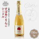 【ふるさと納税】 シードル りんご お酒 720ml 北海道産 リンゴ 炭酸 スパークリング 八剣山ワイナリー kanonz すぱあくりんご 仁木町産 ドライ ...