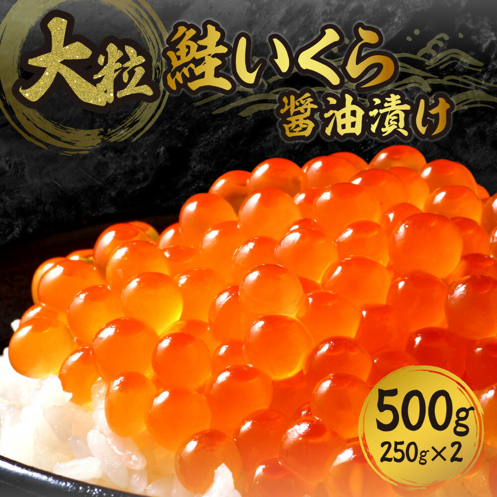濃厚・大粒!鮭いくら醤油漬け500g(250g×2)