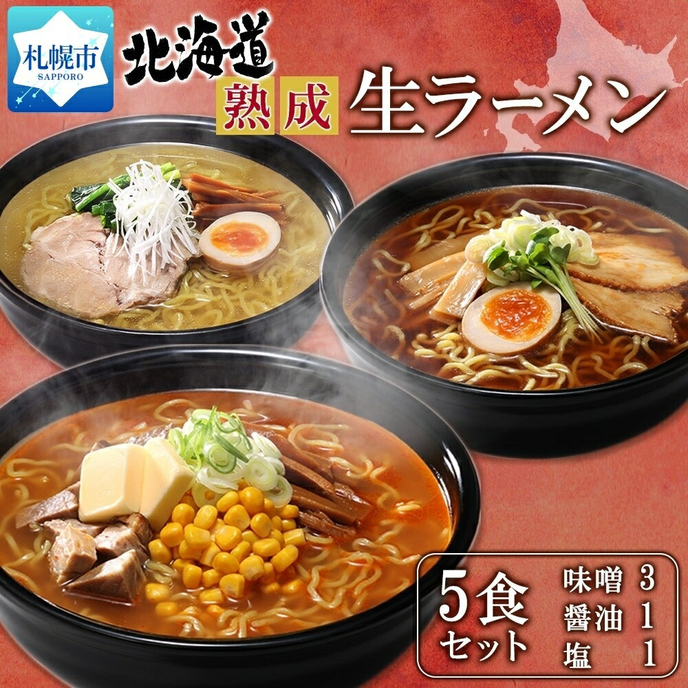 【ふるさと納税】北海道 熟成生ラーメン 計5食セット 味噌 