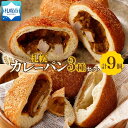 【ふるさと納税】 冷凍 カレー パン 3種 計9個 カレーパ