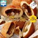 【ふるさと納税】熨斗 こだわりカレーパン 3種 各3個 