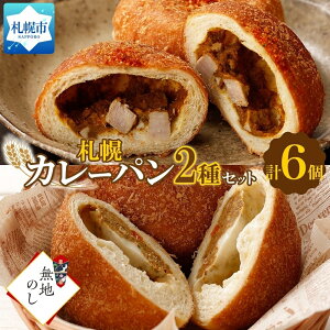 【ふるさと納税】冷凍 カレー パン 2種 計6個 カレーパン カレー パン 知床 豚肉 豚 チーズ ...