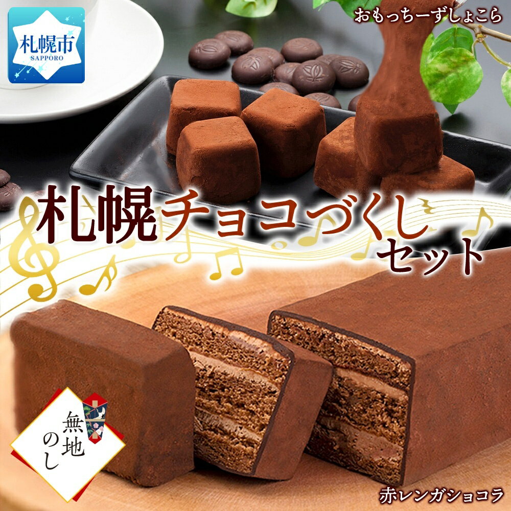 北海道 チョコづくし セット おもっちーず しょこら 赤レンガショコラ ガトーショコラ チョコレート ビター チョコ お菓子 詰め合わせ 無地熨斗 熨斗 のし 冷凍 ギフト プレゼント お土産 お祝い グルメ わらく堂 北海道札幌市