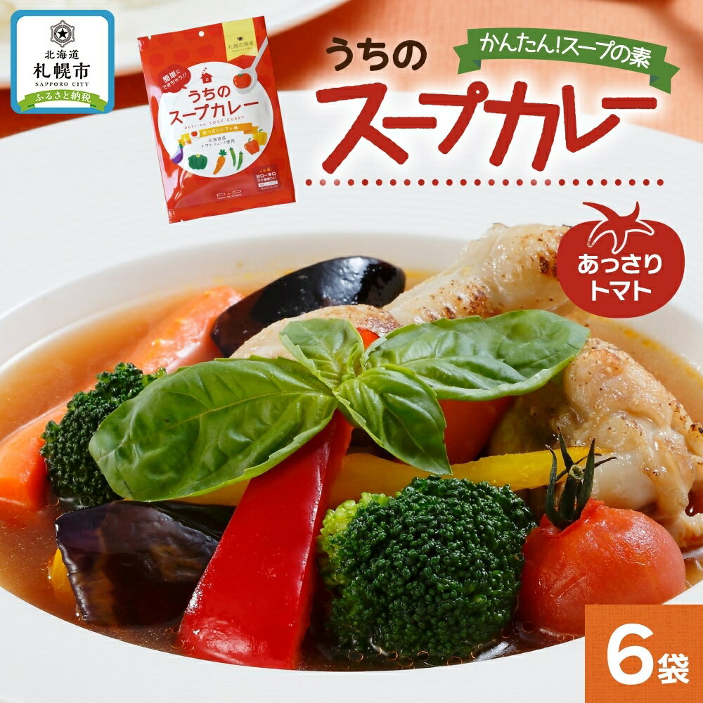 スープカレーの素 うちのスープカレー トマト味 2人前×6袋 小分け スープカレー スパイス トマト スープ カレー 簡単 手軽 料理の素 お取り寄せ ギフト ピーアンドピー 送料無料 北海道 札幌市