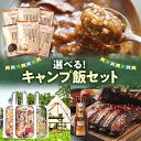 【ふるさと納税】 キャンプ飯 【 選べる セット 】 計4個セット アウトドア おすすめセット キャンプ カレー メスティン飯 BBQソース 炊き込みご飯 1合...