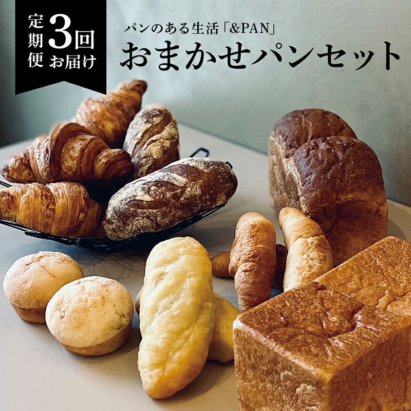 【ふるさと納税】 【定期便全3回】＆PAN　こだわりのパン詰