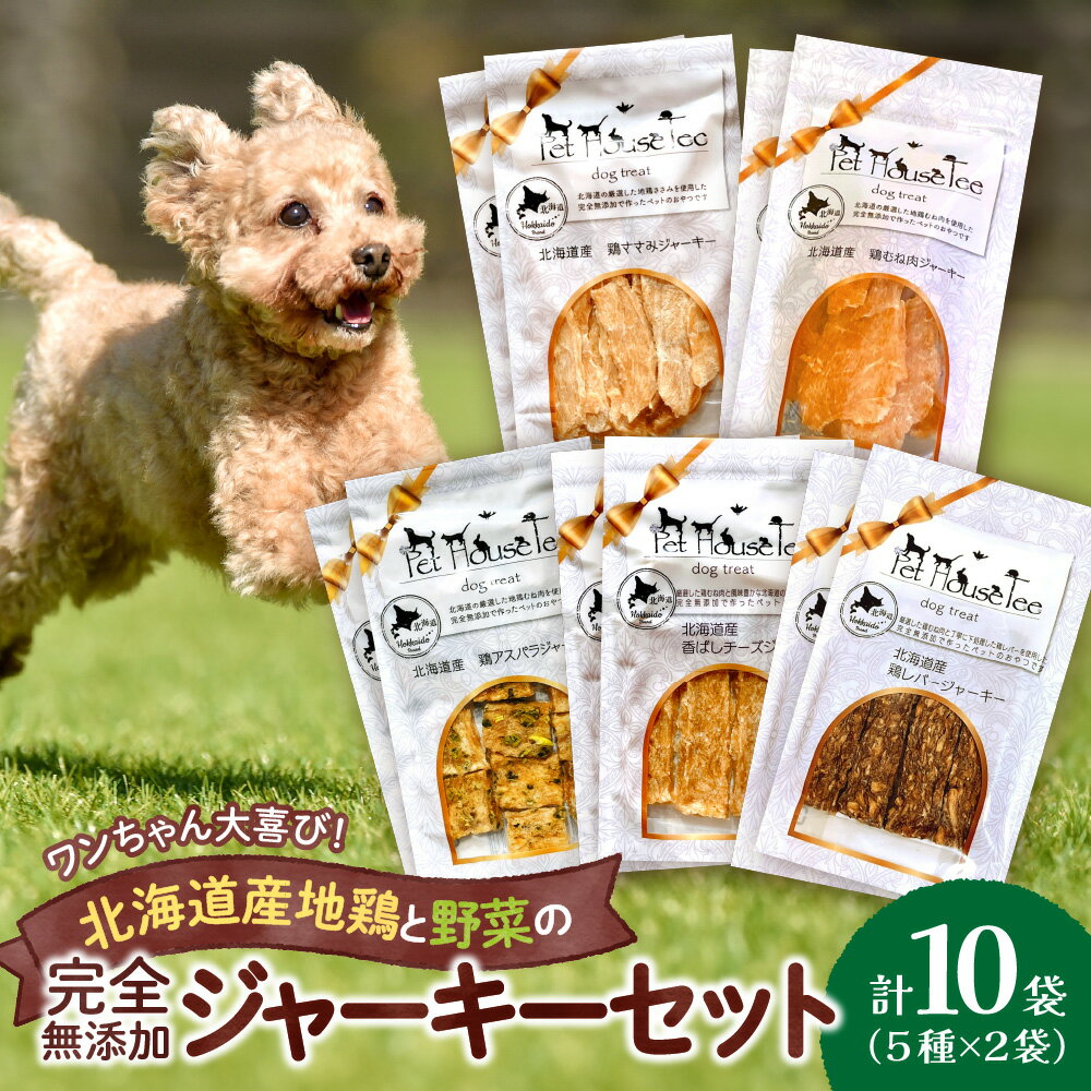 【ふるさと納税】 無添加ジャーキー セット 5種類 2袋 愛犬用 地鶏 鶏 野菜 無添加 動物 犬 ドッグ ペット ご褒美 餌 フード エサ おやつ 乾物 ごはん ご飯 間食 北海道 札幌市