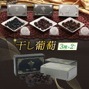 【ふるさと納税】 無添加 干しぶどう 3種×2 セット レーズン ドライフルーツ 食べ比べ 旅路 ナイアガラ ピノノワール ブドウ ぶどう 葡萄 フルーツ 加工食品 お菓子 スイーツ おつまみ おやつ 北海道 札幌市
