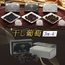【ふるさと納税】 無添加 干しぶどう 3種×4 セット レーズン ドライフルーツ 食べ比べ 旅路 ナイアガラ ピノノワール ブドウ ぶどう 葡萄 フルーツ 加工食品 お菓子 スイーツ おつまみ おやつ 北海道 札幌市