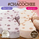 【ふるさと納税】 レアチーズケーキ 2種 セット ブルーベリー ストロベリー 計2ホール ヨーグルト専門店 CHACO 北海道産 生乳100% ヨーグルト 濃厚 低カロリー 高たんぱく ホールケーキ レアチーズ チーズケーキ スイーツ デザート ギフト 贈り物 プレゼント 北海道 札幌市(4)