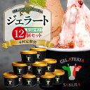 【ふるさと納税】 12個セット! ★北海道産牛乳使用★ 4回 定期便 ジェラート 各120ml パティシエ おまかせ ミルク系 ソルベ系 季節 フレーバー 宇野牧場 有機JAS認証 オーガニック アイス 食べ比べ スイーツ デザート 北海道 札幌市|詳細画像