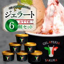 【ふるさと納税】 ジェラート パティシエ おすすめ 6個 セット 北海道産 牛乳 ミルク ピスタチオ 黒ごま 抹茶 カカオ ソルベ マンゴー 季節 フレーバー ...