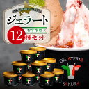 【ふるさと納税】 ジェラート パティシエ おすすめ 12個 セット 北海道産 牛乳 ミルク ピスタチオ 黒ごま 抹茶 カカオ ソルベ マンゴー チーズ チョコ ...