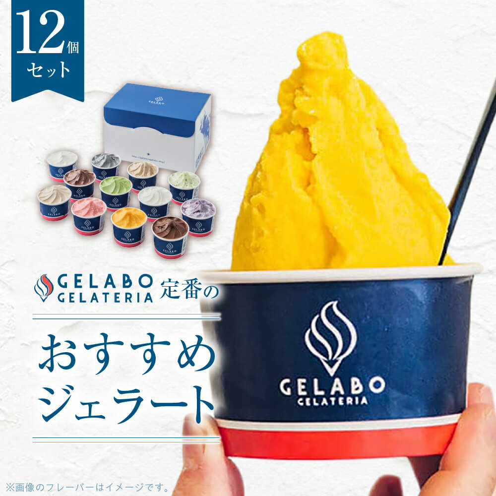札幌ジェラート専門店◆ 12種 セット ミルク ショコラ ティラミス マンゴー ブルーベリー チーズ 抹茶 ヨーグルト 黒ゴマだんご つぶあん ミルクティー 生チョコ ジェラート アイス スイーツ デザート 氷菓 食べ比べ ギフト 北海道 札幌市