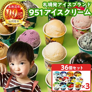 【ふるさと納税】 札幌発 951 アイス ブランド 12種 計36個 各100ml セット 北海道産 ミルク いちご はちみつ チョコレート 抹茶 黒糖 キャラメル ナッツ クッキー&クリーム メロン ハスカップ ヨーグルト チョコミント デザート スイーツ アイスクリーム 北海道 札幌市