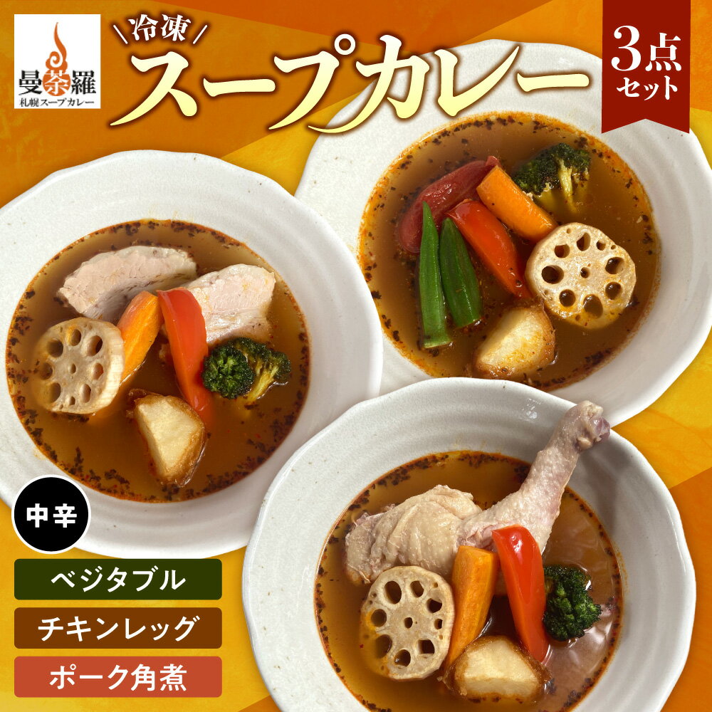 【ふるさと納税】 スープカレー 冷凍 各300g以上 3点 セット カレー 中辛 チキンレッグ ベジタブル ポ..