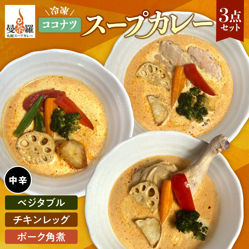 【ふるさと納税】 スープカレー ココナツ 冷凍 各300g以上 3点 セット カレー 中辛 チキンレッグ ベジ..