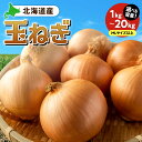 【ふるさと納税】 北海道産 玉ねぎ 【 選べる 容量 】 MLサイズ 1kg 2kg 5kg 10kg 20kg 野菜 玉葱 オニオン たまねぎ 国産 お取り寄せ 北海道 札幌市