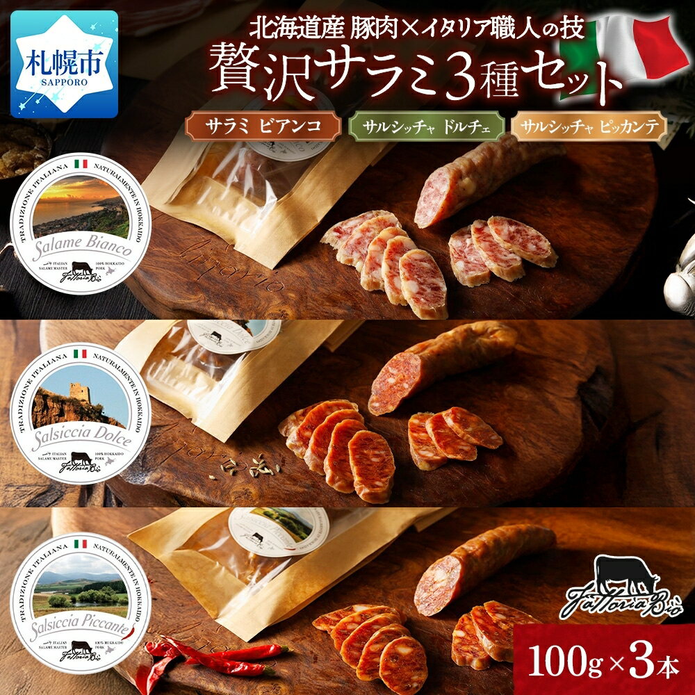 北海道産 サラミ 3種 セット 計300g 北海道産豚肉 熟成 サラミ・ビアンコ サルシッチャ ドルチェ ピッカンテ 話題 お取り寄せ グルメ 詰め合わせ 肉 加工品 サラダ おつまみ ファットリアビオ 北海道 札幌市
