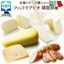 【ふるさと納税】 ファットリアビオ北海道 堪能 5種 セット チーズ サラミ 詰め合わせ モッツァレラ カチョカヴァッロ リコッタ・フレスカ フォルマッジョプレ...
