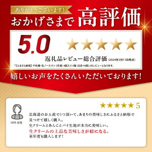 【ふるさと納税】 千秋庵・生ノースマン 4個入り 4箱 (合計16個) 冷凍 ノースマン 札幌千秋庵 銘菓 パイまんじゅう パイ まんじゅう 饅頭 あんこ 生クリーム 札幌市 北海道 菓子 ご当地 スイーツ 銘菓 お取り寄せ 送料無料