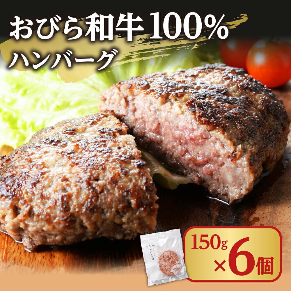 おびら和牛100%ハンバーグ(150g×6パック)