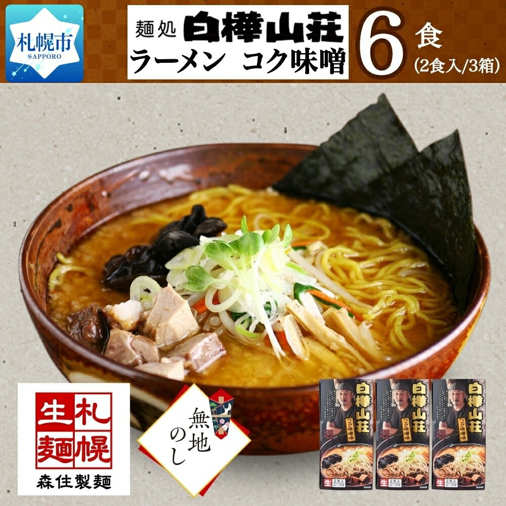 【ふるさと納税】【無地熨斗】麺処 白樺山荘 コク味噌味 2食