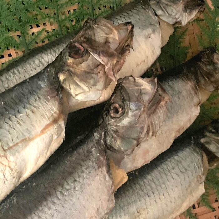 丸干しにしん5本セット「函館 山崎水産」