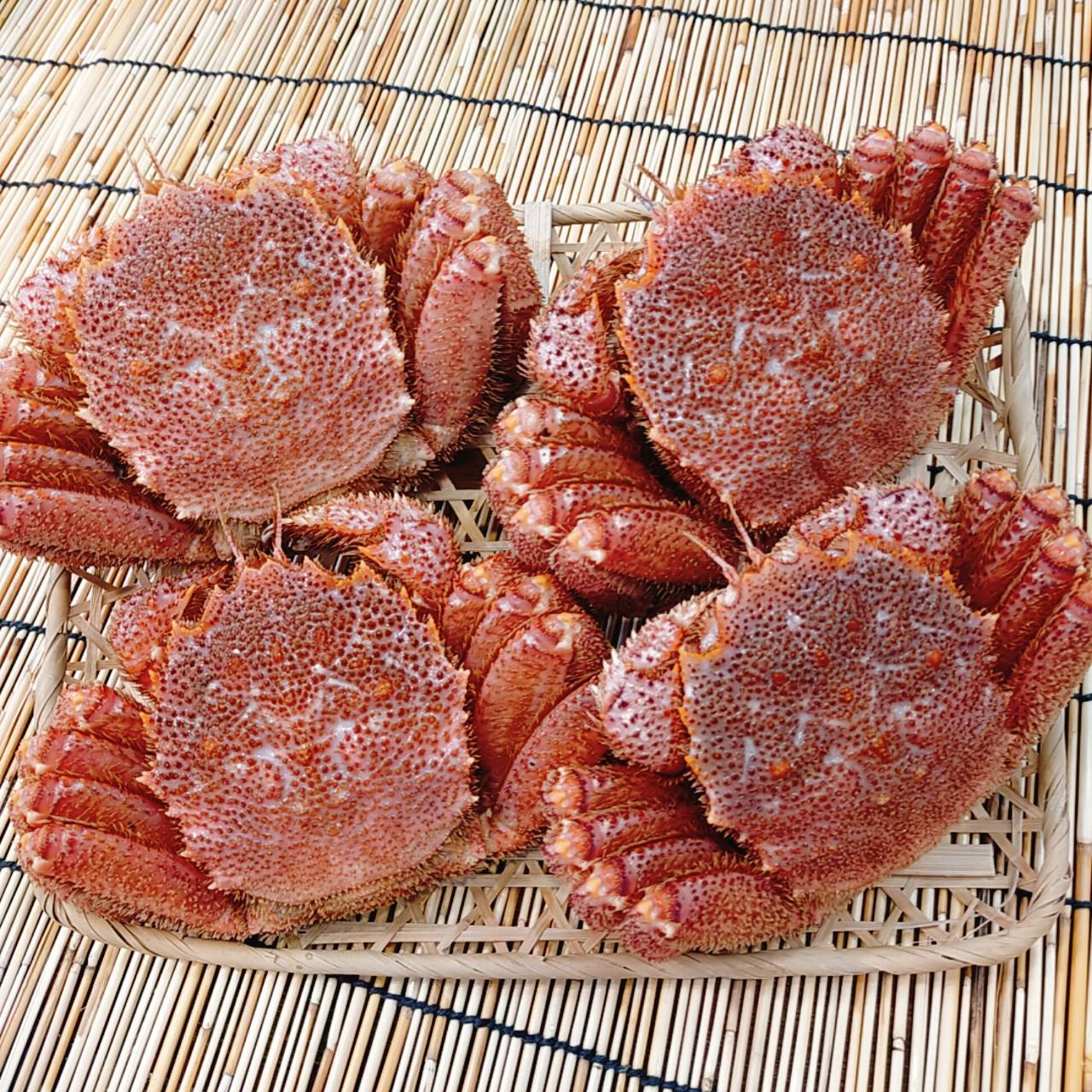 【ふるさと納税】茹でたて発送！ボイル毛蟹4尾