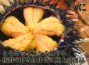 【ふるさと納税】函館朝市 弥生水産　塩水ウニ・自家製塩だれいくらの無添加セット[9549015]