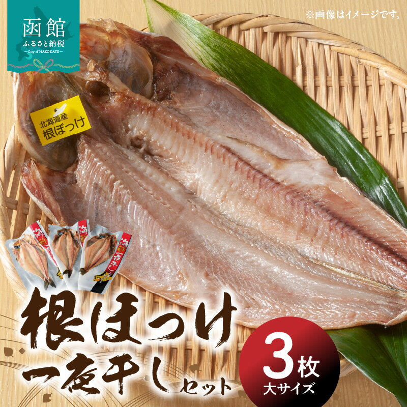 根ほっけ一夜干しセット ほっけ ホッケ 北海道産 脂のり抜群 干物 魚 魚介 函館 はこだて