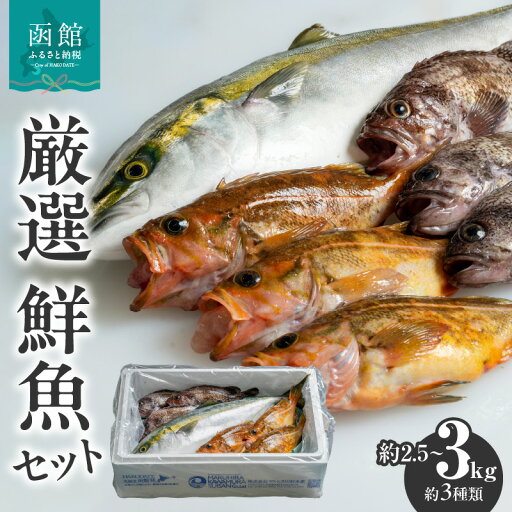 【ふるさと納税】【函館産】 厳選 鮮魚セット 【ふるさと納税】【函館産】 厳選 鮮魚セット