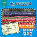 【ふるさと納税】道南いさりび鉄道 いさりび1日きっぷ キーホルダー 3個 セット 切符 1日 乗り放題 いさ鉄プラン 沿線旅 駅名標 五稜郭駅 渡島当別駅 木古...