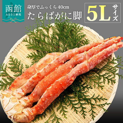 5L サイズ たらばがに 脚 1kg かに カニ 蟹 たらば タラバ タラバガニ タラバ蟹 たらば蟹 函館 はこだて 北海道 ふるさと