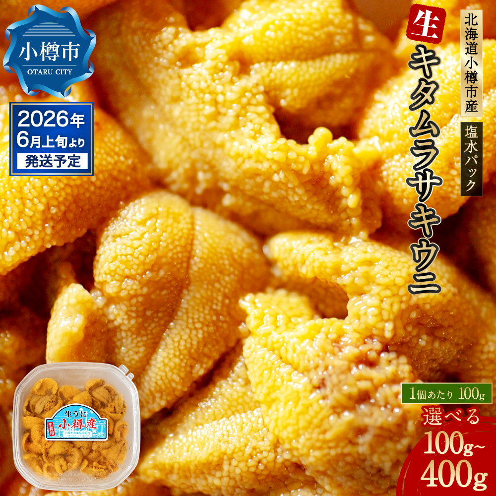 【ふるさと納税】生うに【2026年6月上旬-7月下旬 発送予定】うに ウニ キタムラサキウニ 塩水パック 魚介類 水産物 海産物 海鮮 ホイル焼き 茶わん蒸し ...