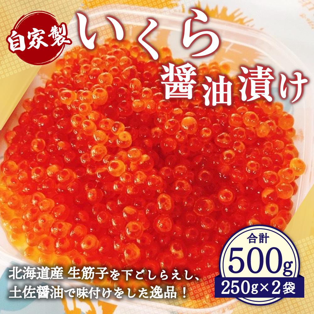 【ふるさと納税】自家製 いくら 醬油漬け 500g | イクラ 北海道産 小樽市 北海道 お取り寄せ 冷凍 送料無料