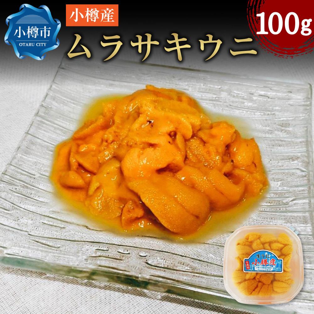 ムラサキウニ 【ふるさと納税】小樽産 ムラサキウニ 塩水生ウニ 100g ウニ 雲丹 | うに 冷凍 刺し身 刺身 海鮮丼 魚介類 海産物 塩水うに 生ウニ ギフト 贈答用 贈り物 小樽市 北海道 送料無料