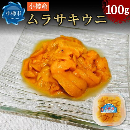 小樽産 ムラサキウニ 塩水生ウニ 100g ウニ 雲丹 | うに 冷凍 刺し身 刺身 海鮮丼 魚介類 海産物 塩水うに 生ウニ ギフト 贈答用 贈り物 小樽市 北海道 送料無料