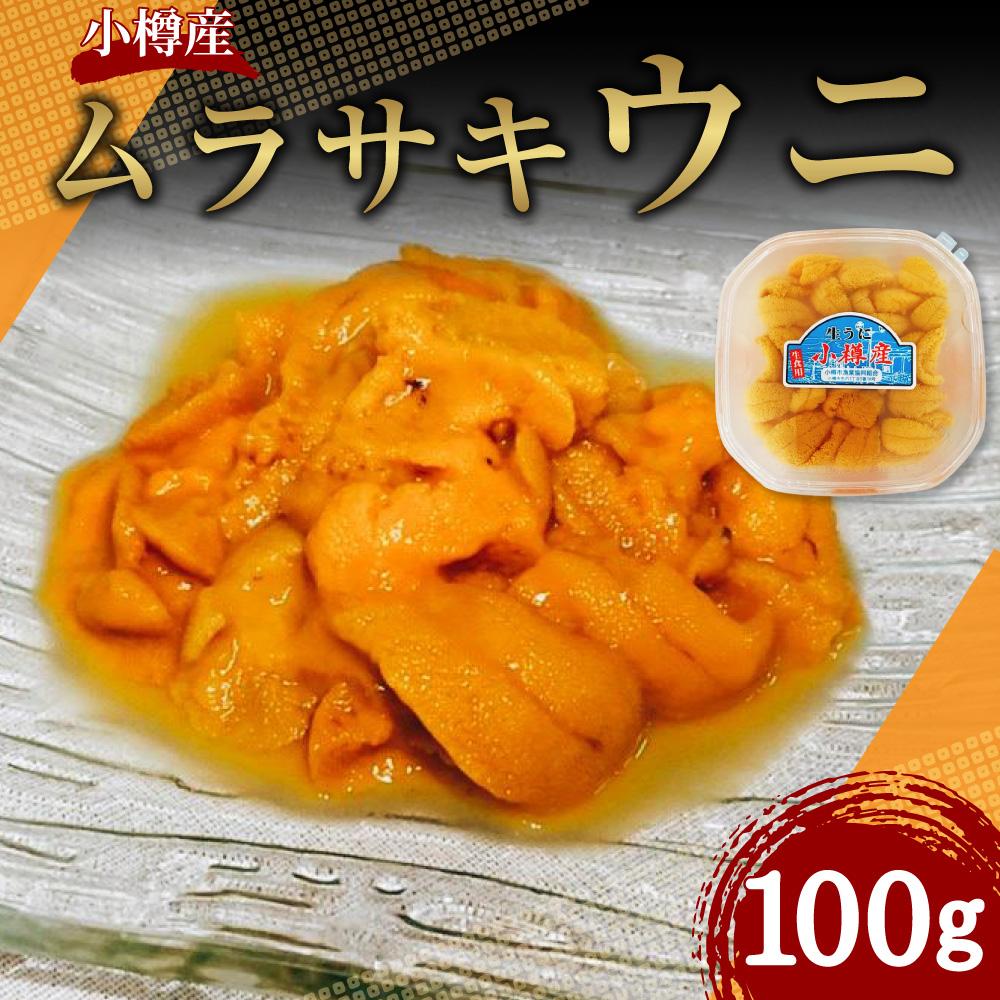 【ふるさと納税】小樽産 ムラサキウニ 塩水生ウニ 100g ウニ 雲丹 | うに 冷凍 刺し身 刺身 海鮮丼 魚介類 海産物 塩水うに 生ウニ ギフト 贈答用 贈り物 小樽市 北海道 送料無料