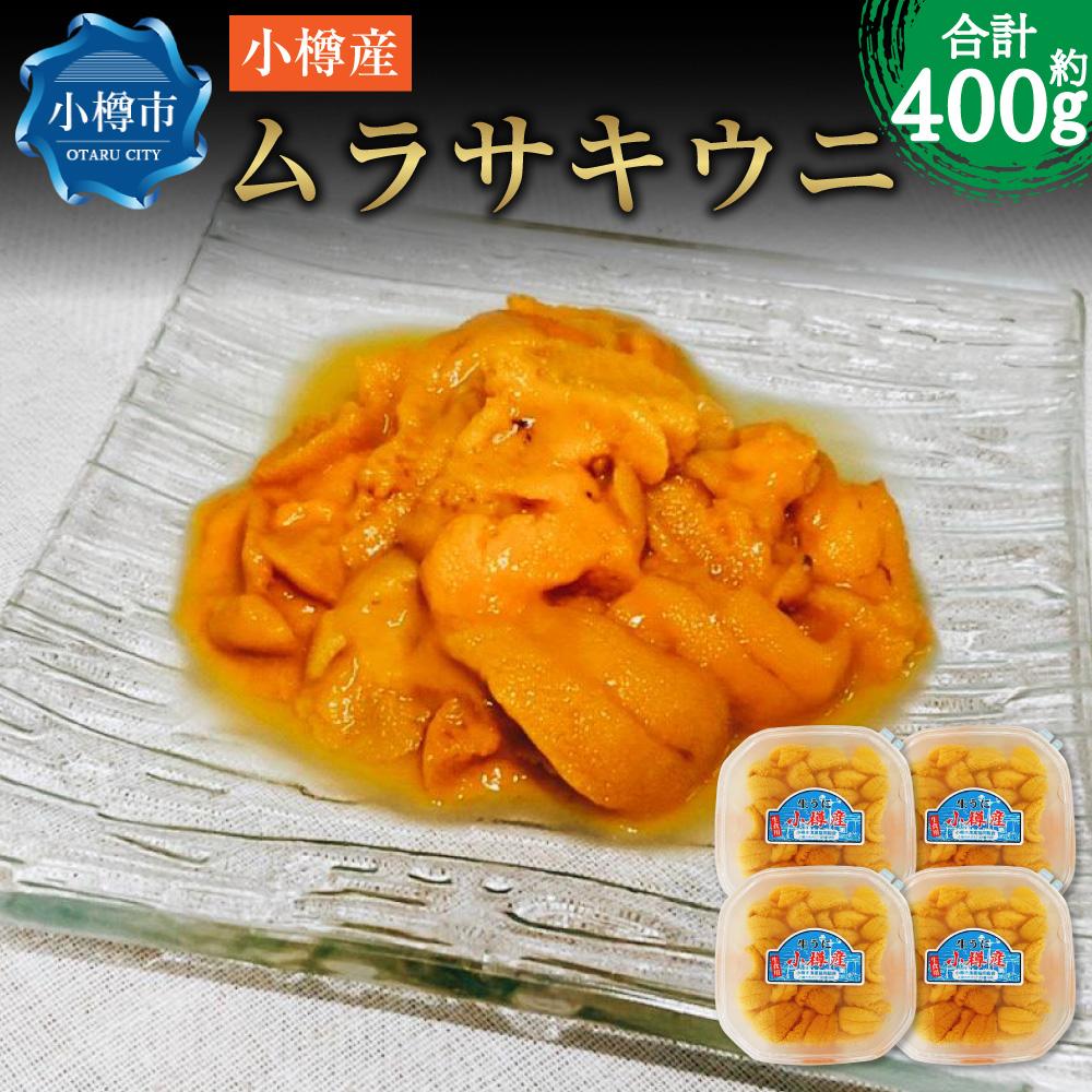 【ふるさと納税】小樽産 ムラサキウニ 塩水生ウニ 100g×4パック 合計約400g | うに 冷凍 刺し身 刺身 海鮮丼 魚介類 海産物 塩水うに 生ウニ ギフト 贈答用 贈り物 小樽市 北海道 送料無料